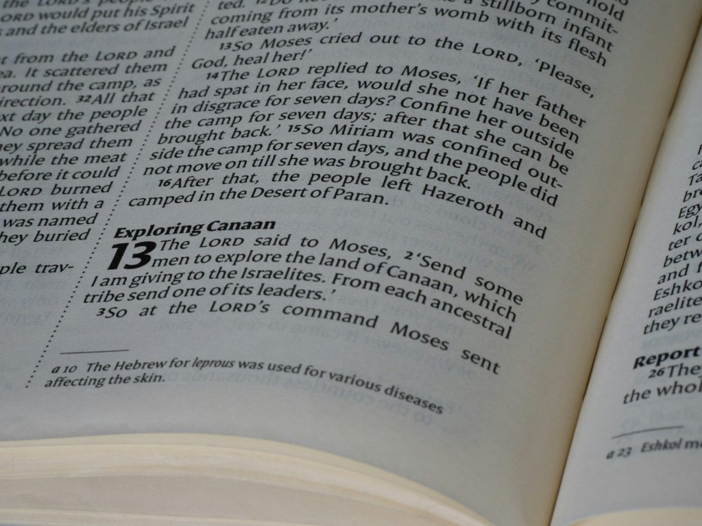 Open Bible