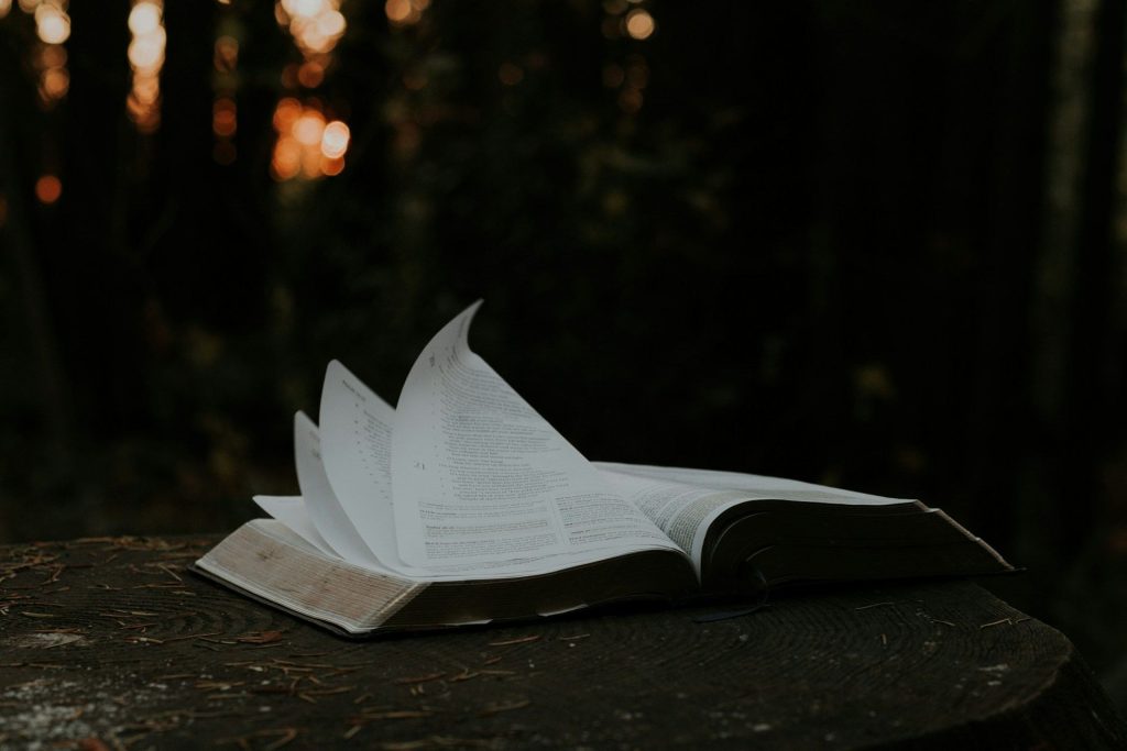 Open book with its pages turning